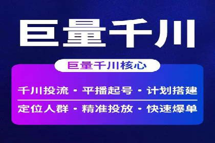 创新引领者：某信息流广告公司的技术突破案例